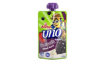 Mixed Berry Yoghurt Pouch