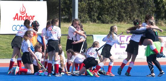 Aims games hockey