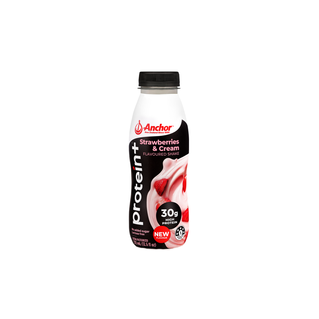Anchor Protein+ Creamy Chocolate Shake
